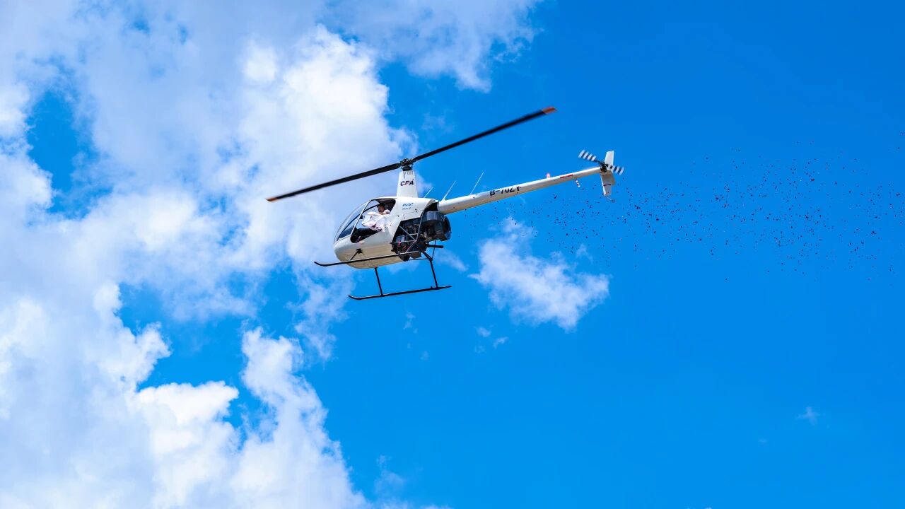 直击迎新现场|我校2025级新生报到啦