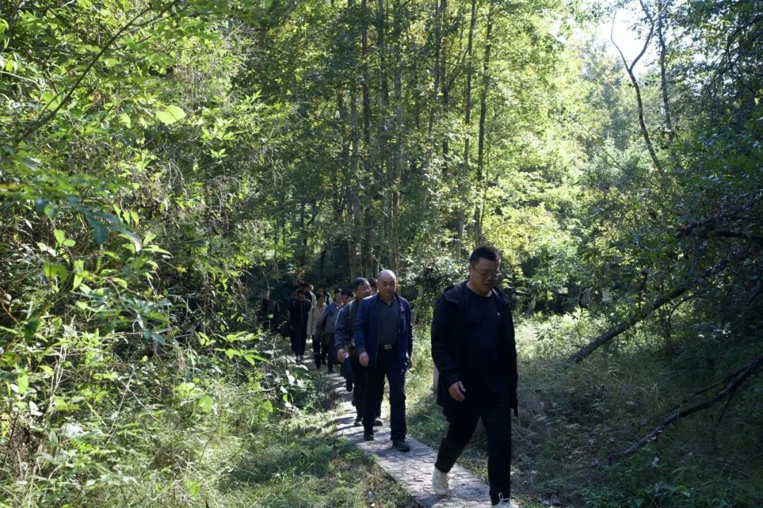 重走游击道 赓续红色魂——和君职业学院开展沉浸式红色徒步实践活动