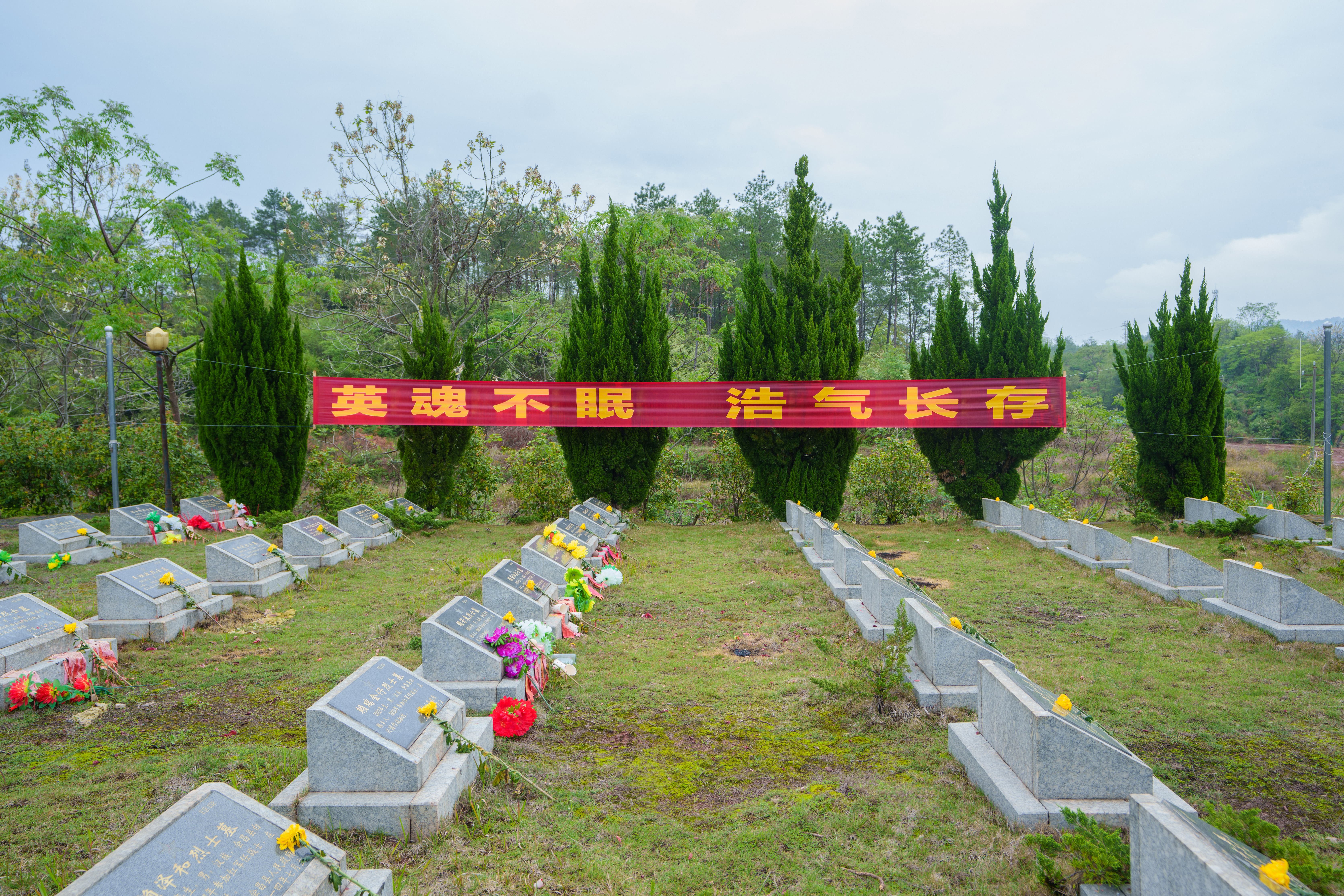 我校开展2026年清明祭扫革命先烈活动