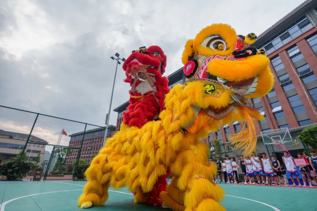 投票助力！我校第三届“和君杯”篮球联赛人气球队投票通道开启