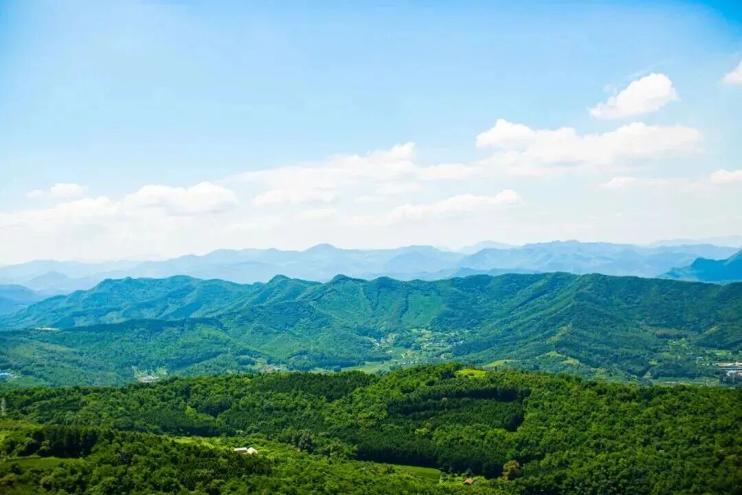 王明夫:人生中最震撼人心的奋斗,莫过于高考