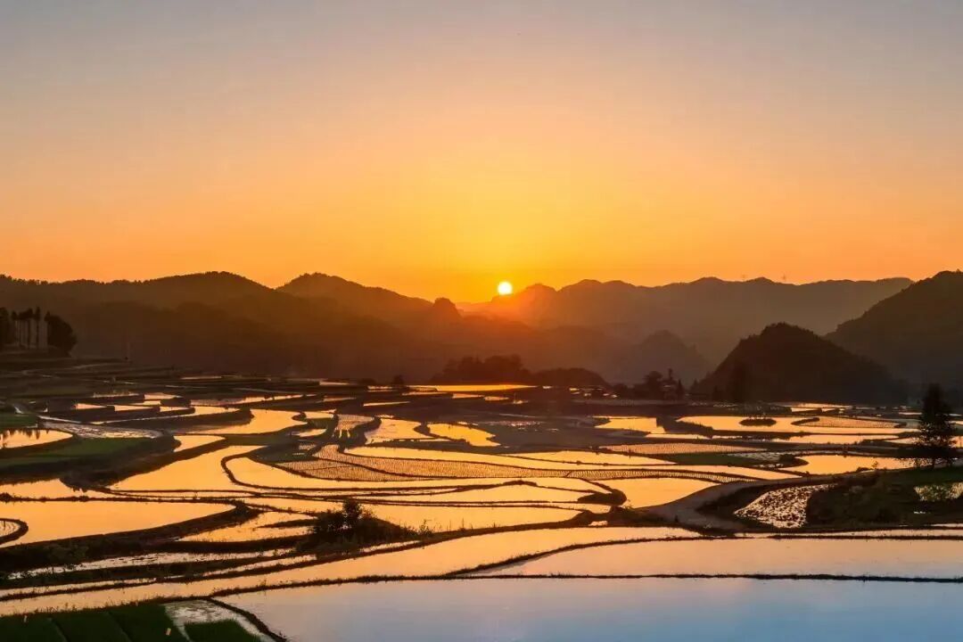 王明夫:人生中最震撼人心的奋斗,莫过于高考