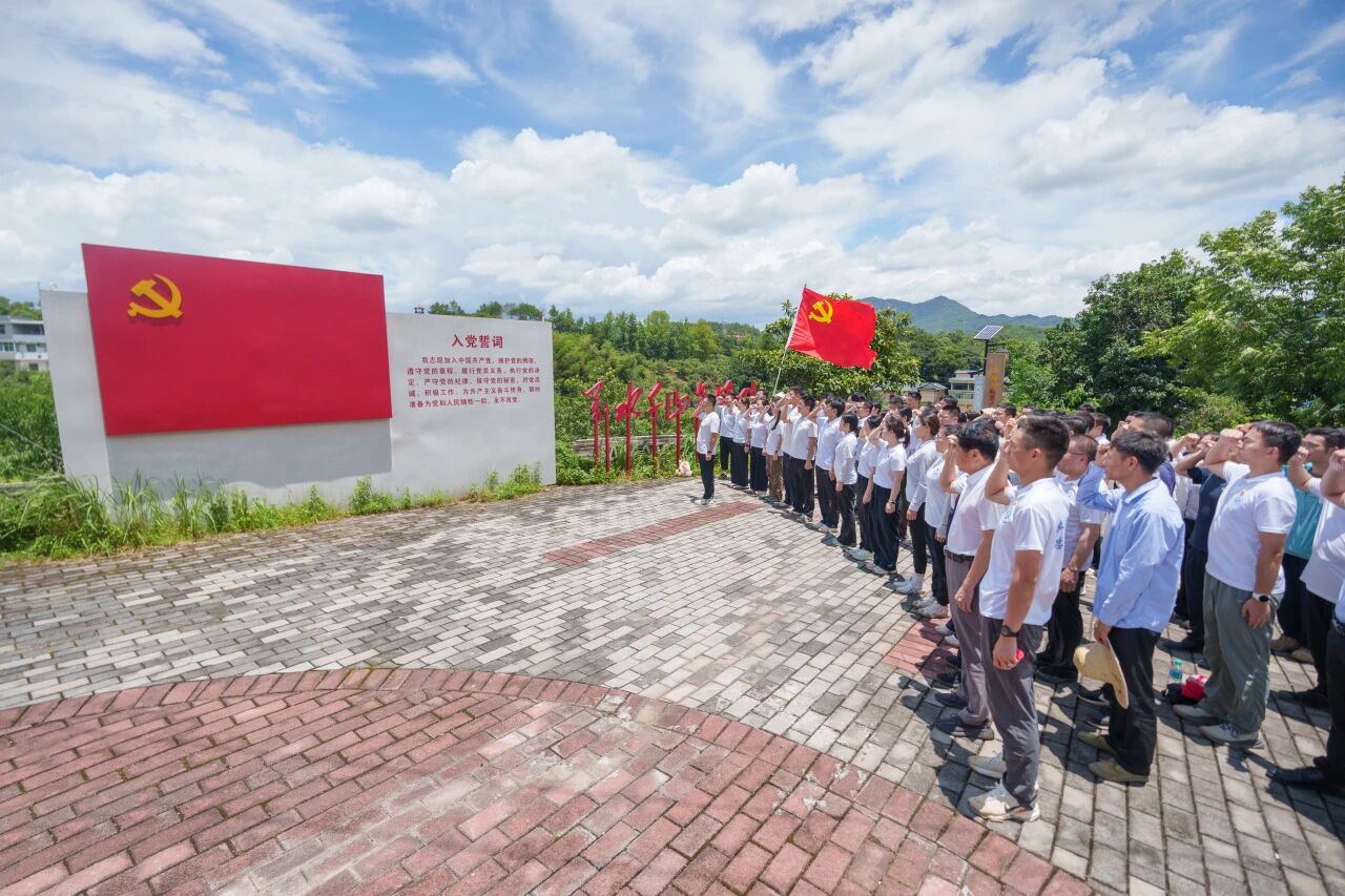 弘扬伟大建党精神  勇拓职教发展新路 ——和君职业学院开展“七一”系列活动