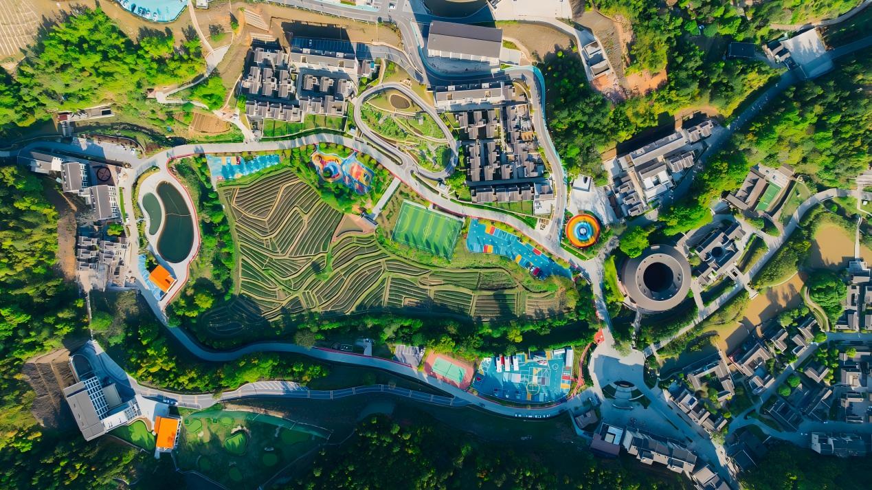 和君职业学院2026年简介