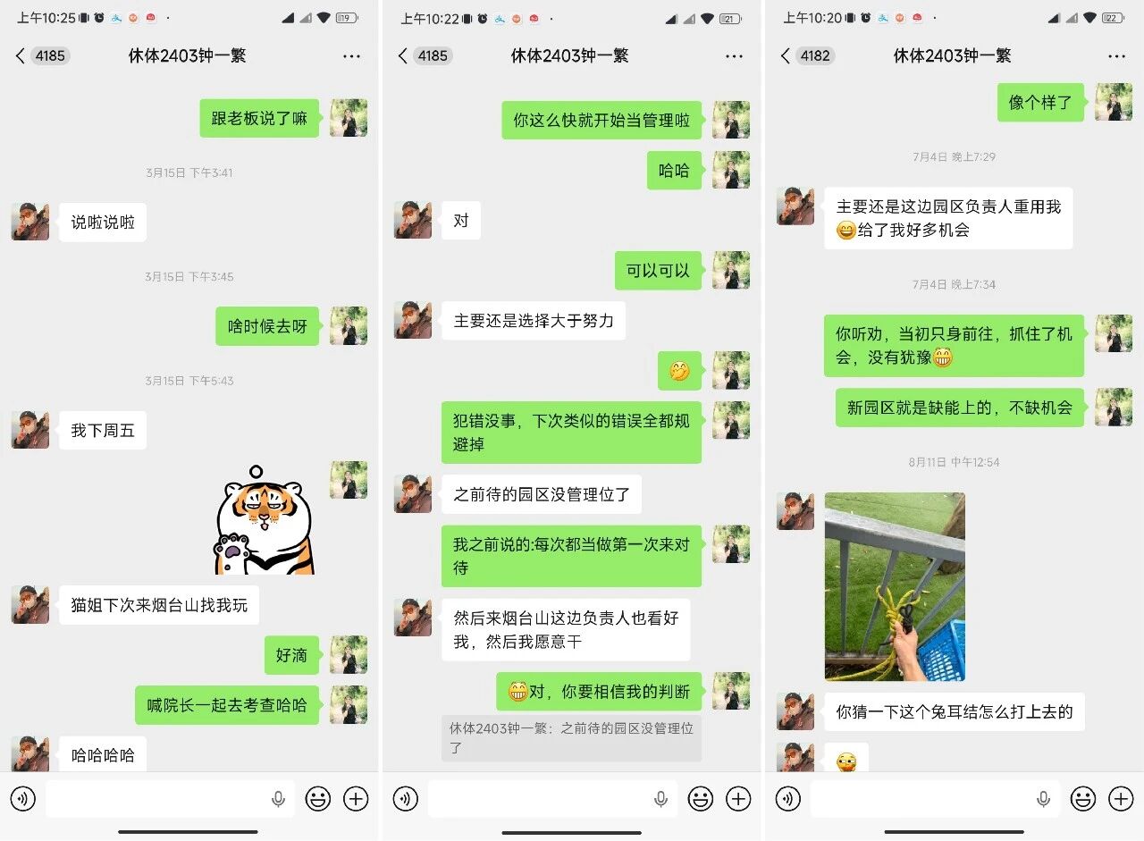 【名师·高徒】少年应过万重山